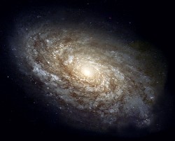 Polyethylene Pet: Live in the 20th Century