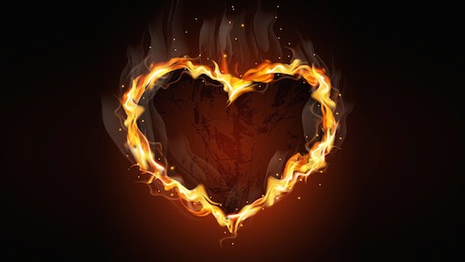 Polyethylene Pet/+1: Friendly Fires Box Set